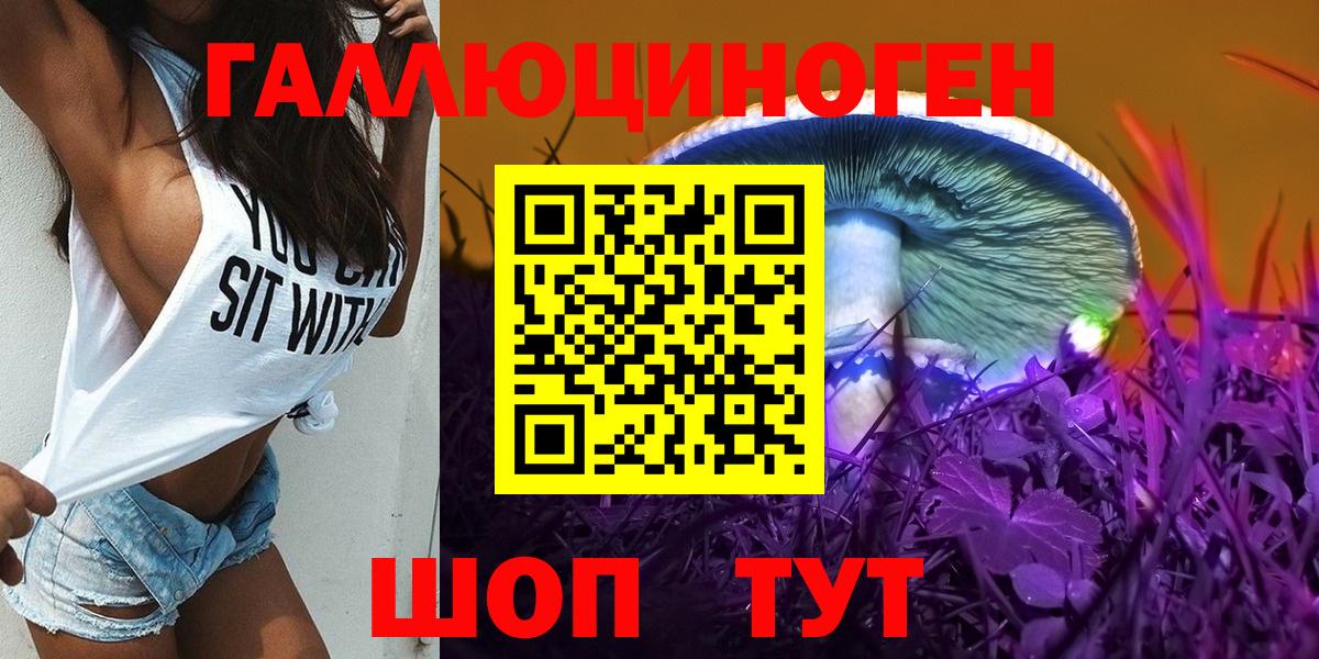 Псилоцибиновые грибы GOLDEN TEACHER Гуково