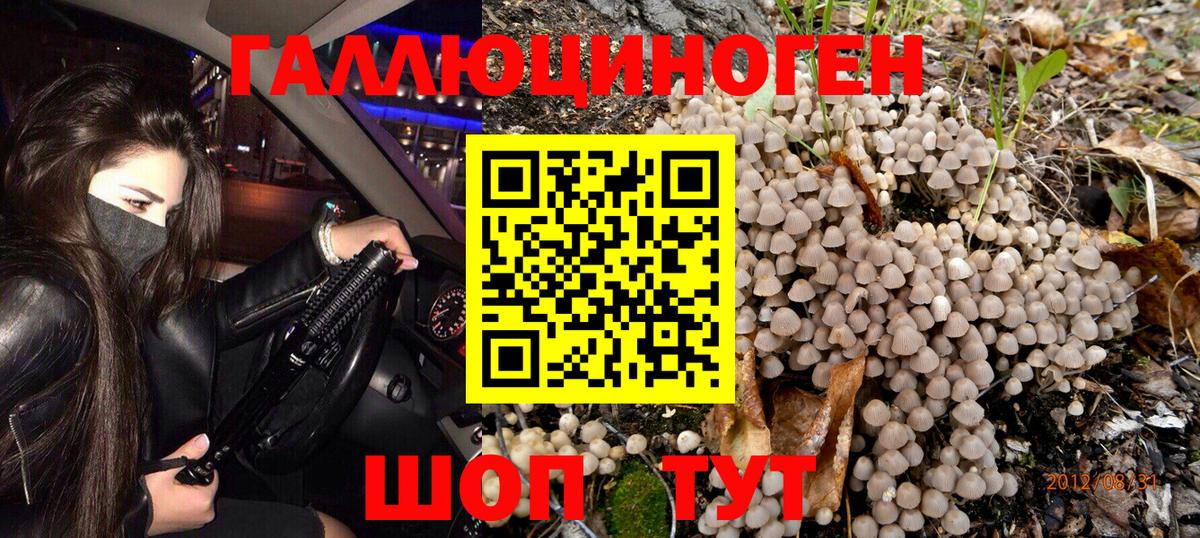 Гуково  Псилоцибиновые грибы GOLDEN TEACHER  где можно купить   Вход с VPN 